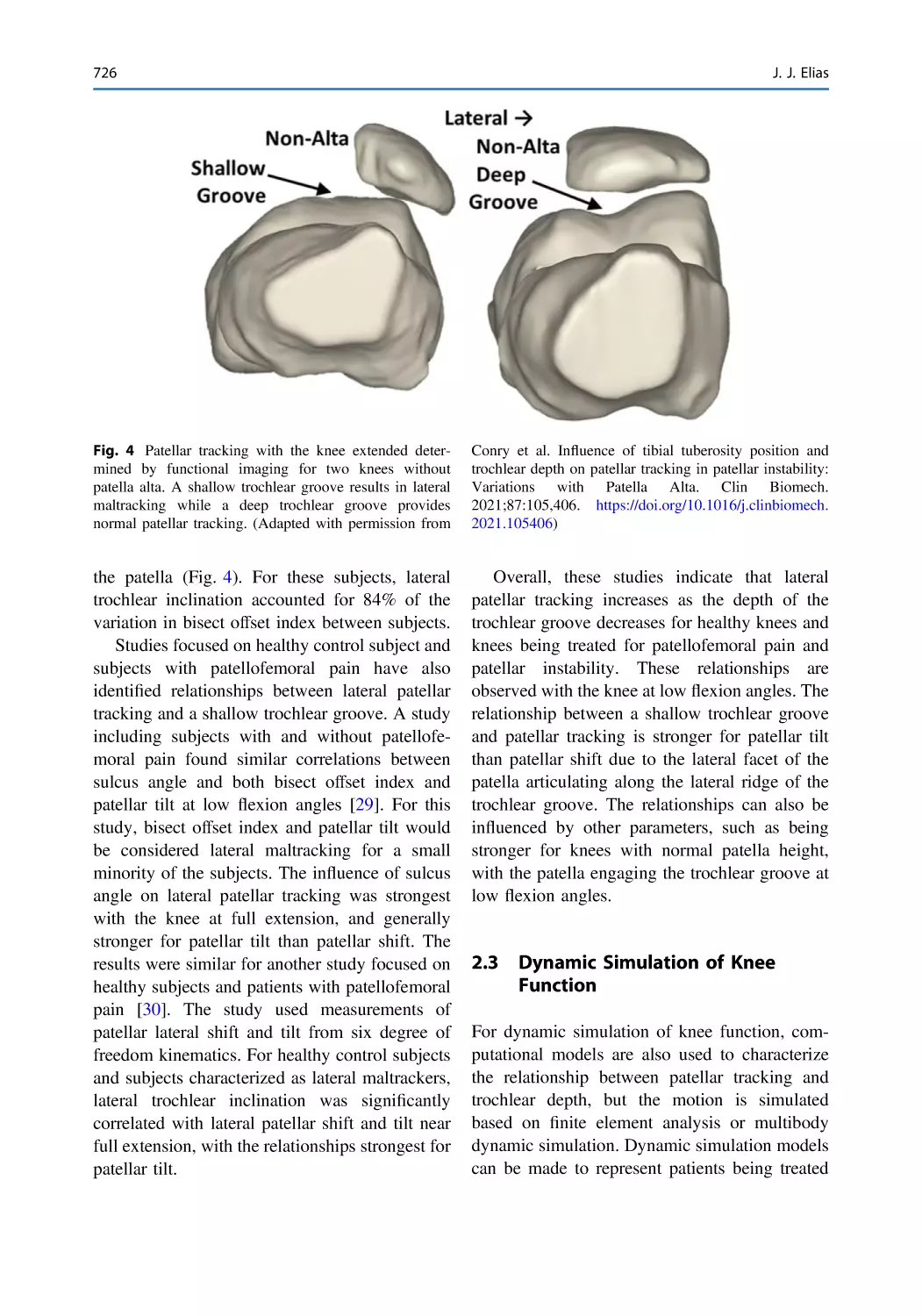 2.3 Dynamic Simulation of Knee Function