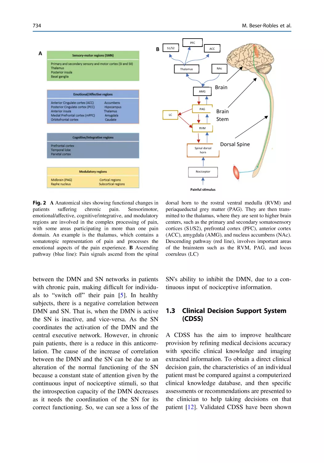 1.3 Clinical Decision Support System (CDSS)