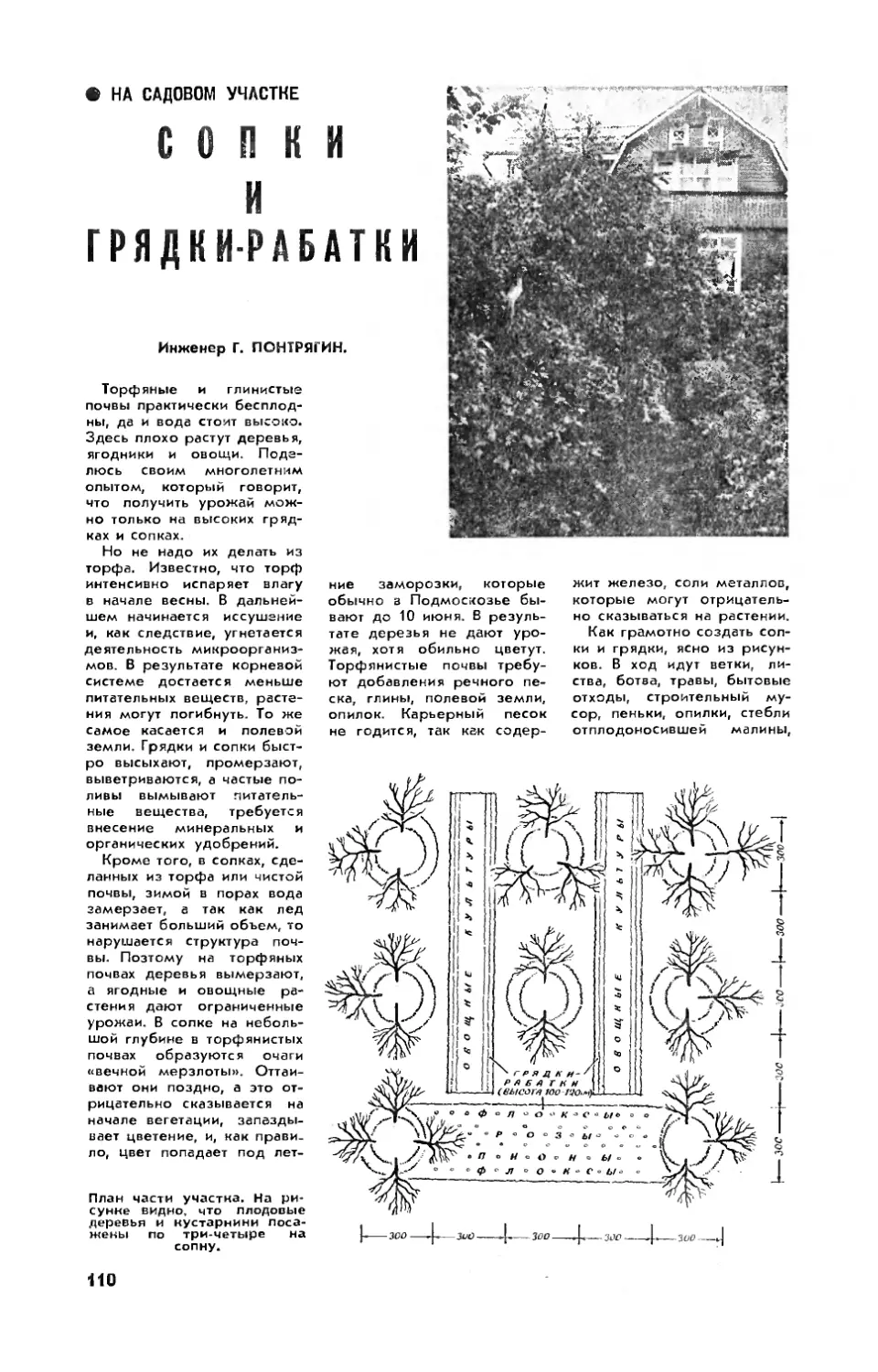 Г. ПОНТРЯГИН — Сопки и грядки-рабатки