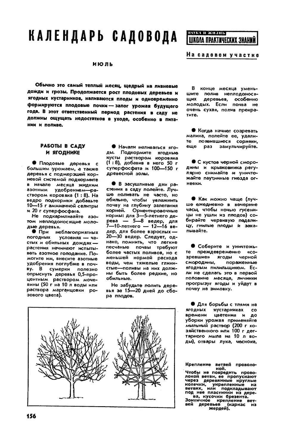 [На садовом участке] — Календарь садовода