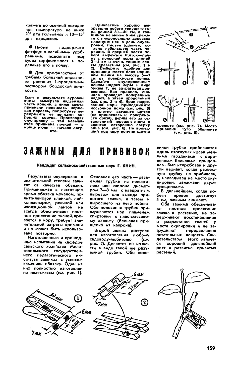 Г. ЯНИН, канд. с.-х. наук — Зажимы для прививок