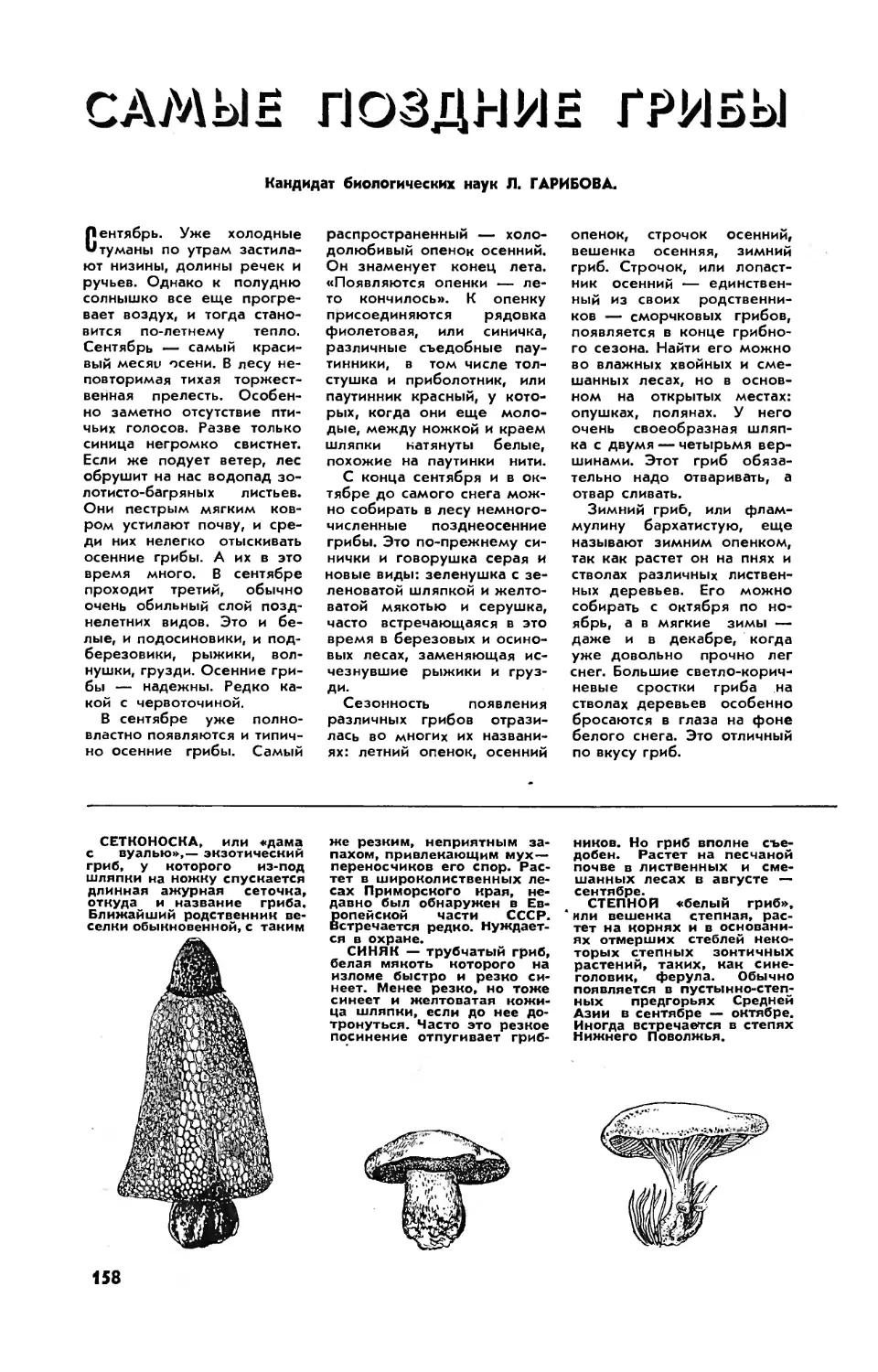 Л. ГАРИБОВА, канд. биол. наук — Самые поздние грибы