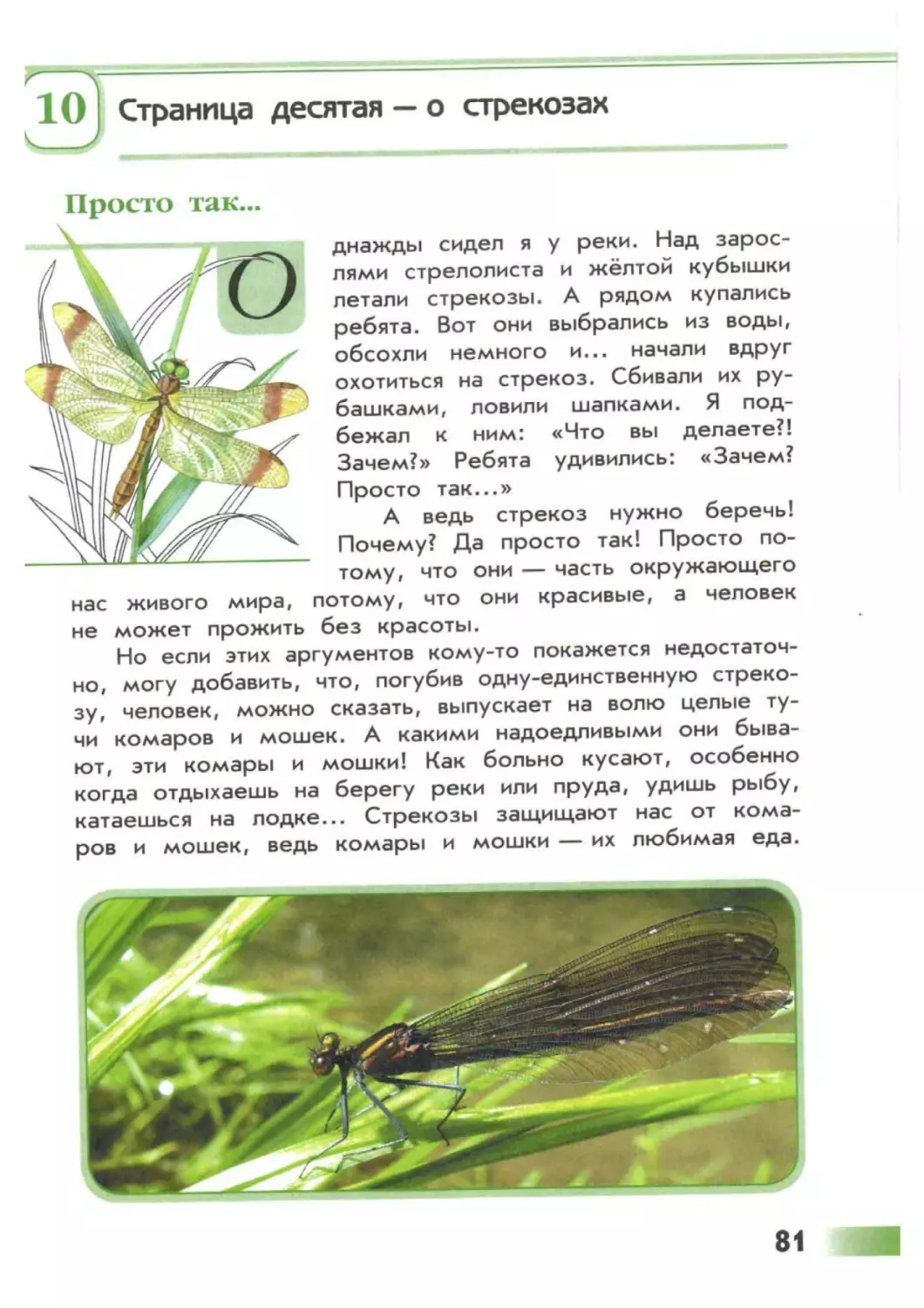 Зеленые страницы окружающий читать. Книга зелёные страницы 3 класс окружающий мир о стрекозах. Зеленые страницы насекомые. Зелёные страницы наснкомые. Книга зеленые страницы о стрекозах.