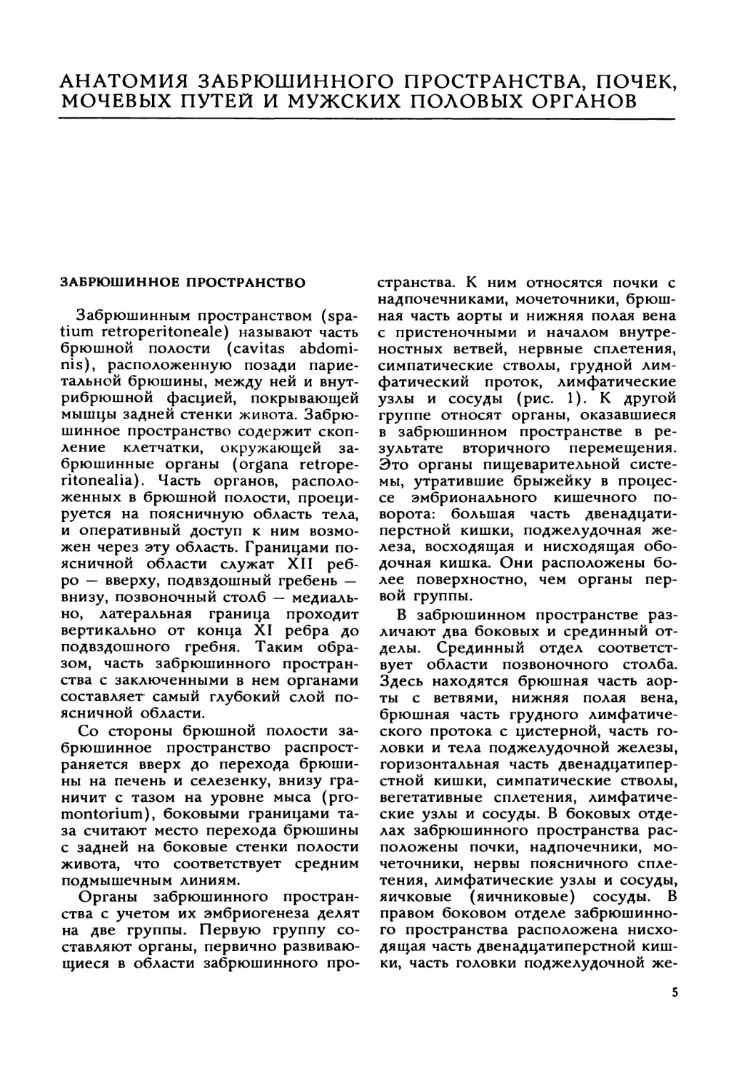 Анатомия забрюшинного пространства, почек, мочевых путей и мужских половых органов