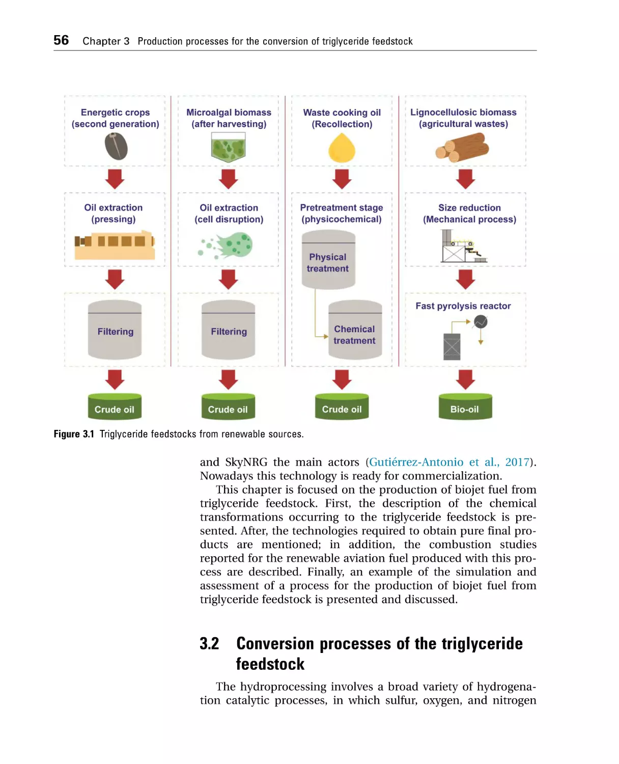 3.2 Conversion processes of the triglyceride feedstock