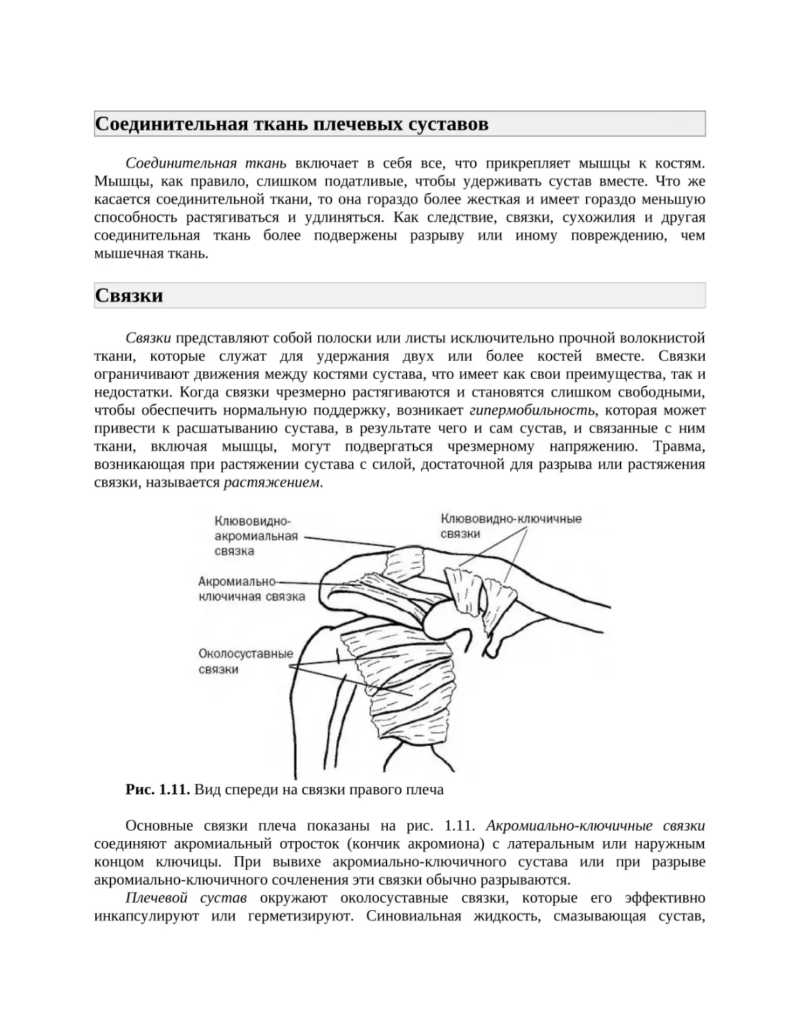 Соединительная ткань плечевых суставов
Связки