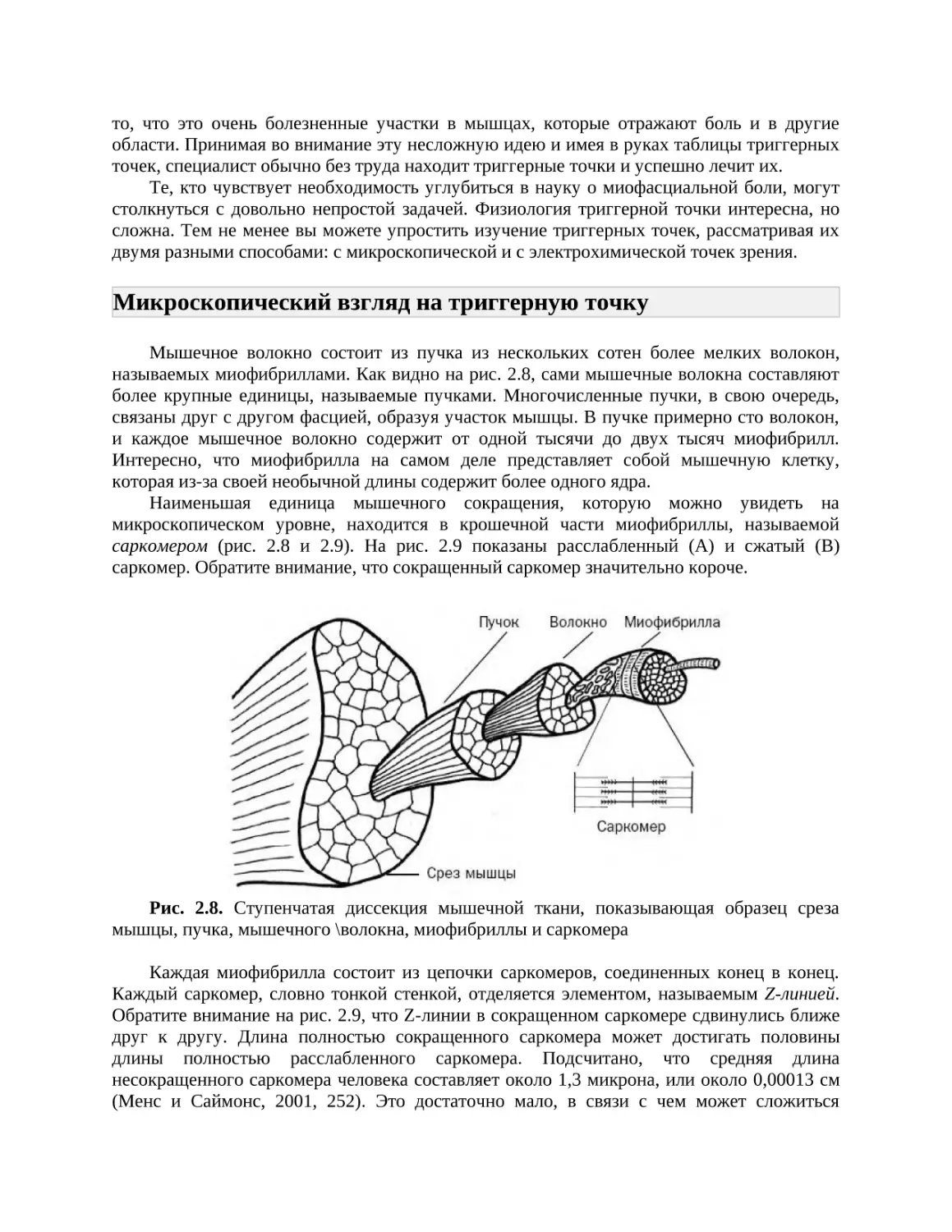 Микроскопический взгляд на триггерную точку