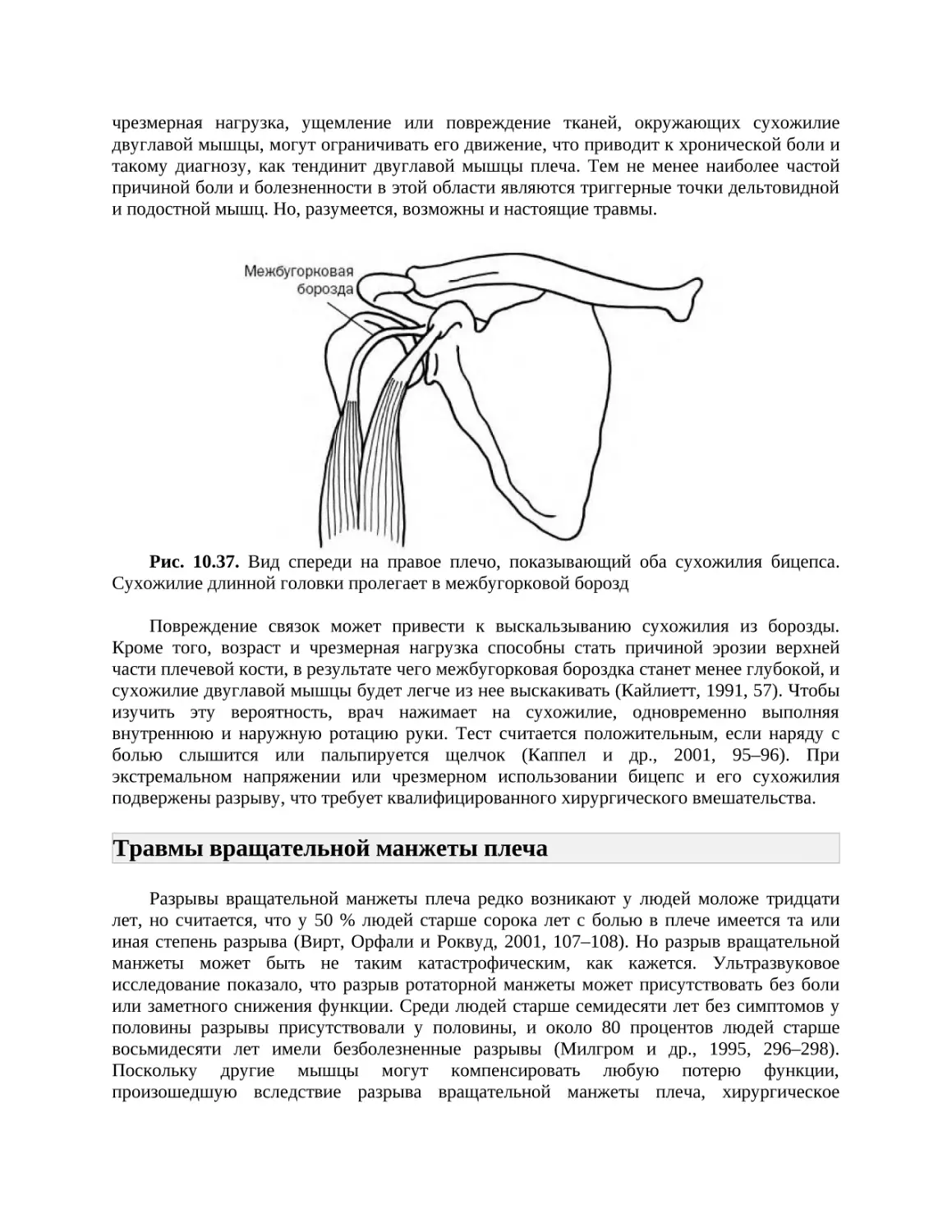 Травмы вращательной манжеты плеча