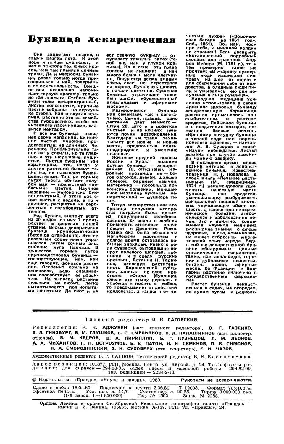 [Лицом к лицу с природой] — Буквица лекарственная