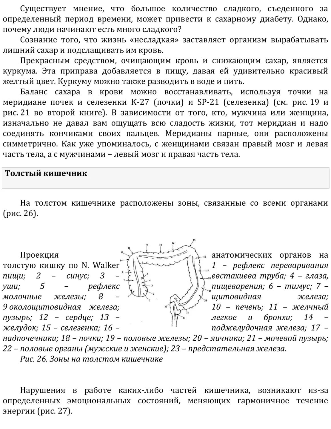 Толстый кишечник